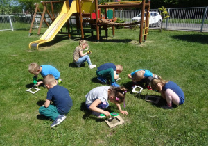 Dzieci oglądają przez lupę trawę na ogrodzie przedszkolnym.